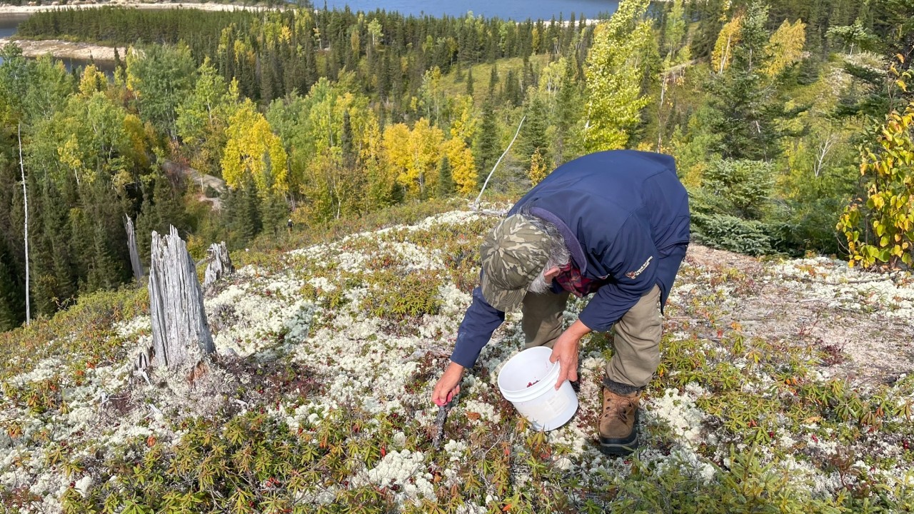 Laboratoire Nutshimiu-mitshim