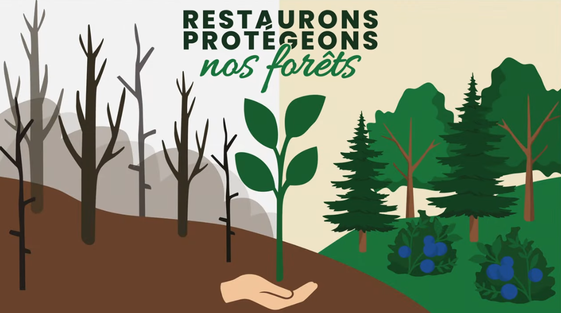 Au-delà d&rsquo;un territoire de recherche